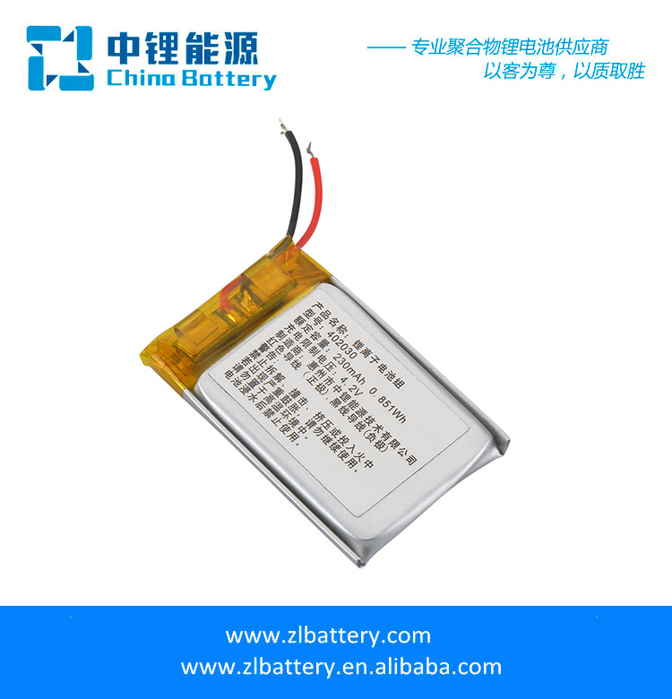 Mobile payment battery